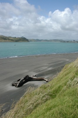 Click to view full size image