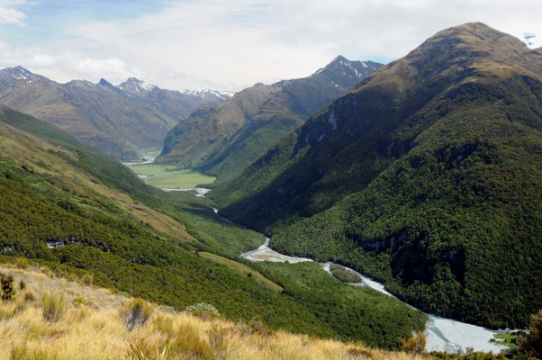 Click to view full size image