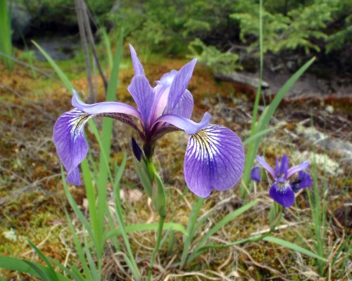 Click to view full size image