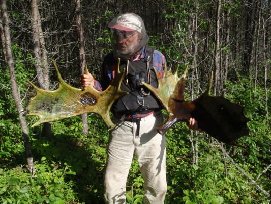 Click to view full size image