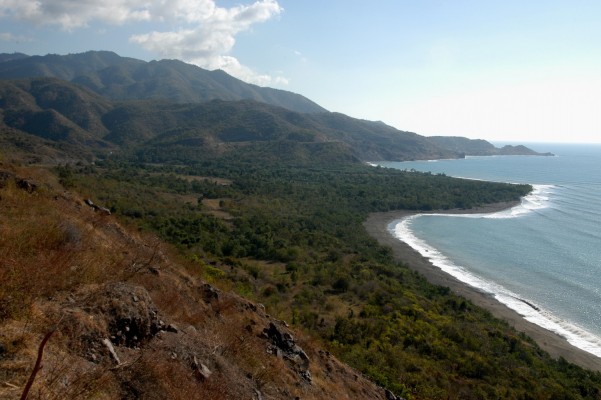 Click to view full size image